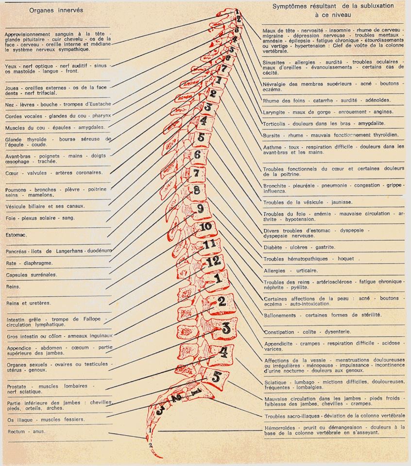 Organes et symptômes