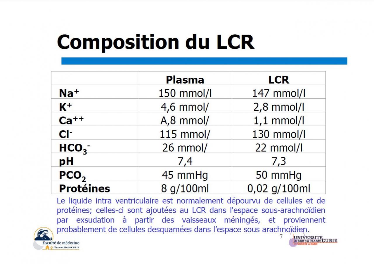 Composition du LCR (2)